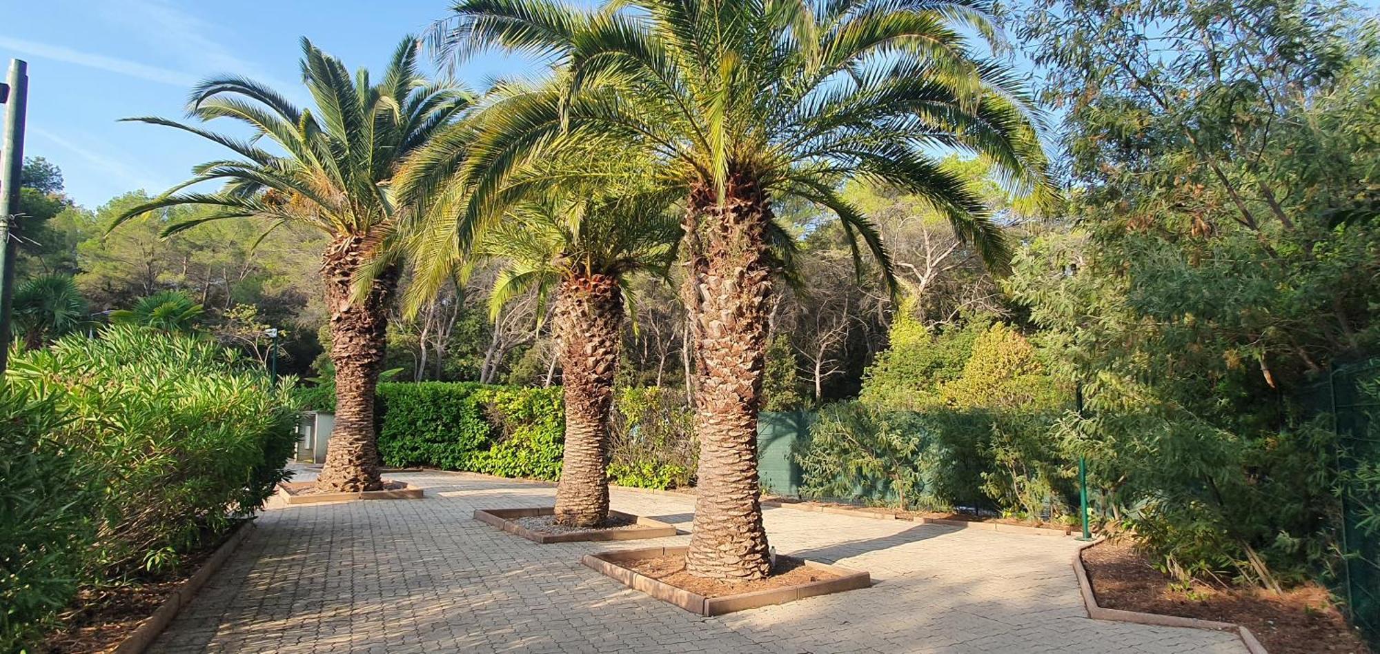 Villa Harmony Vallauris Ngoại thất bức ảnh